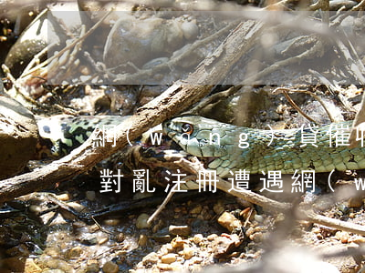 網(wǎng)貸催收如何應(yīng)對亂注冊(遭遇網(wǎng)貸催收如何解決)