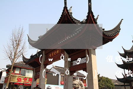 網(wǎng)貸催收如何應對亂注冊(遭遇網(wǎng)貸催收如何解決)