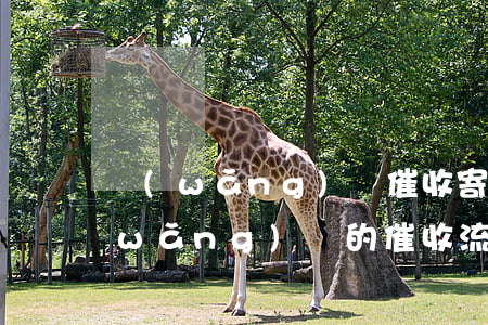 網(wǎng)貸催收寄快遞是啥意思(網(wǎng)貸的催收流程是什么)
