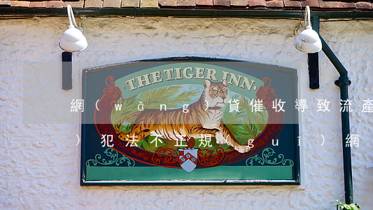 網(wǎng)貸催收導致流產(chǎn)犯法不(正規(guī)網(wǎng)貸會暴力催收嗎)