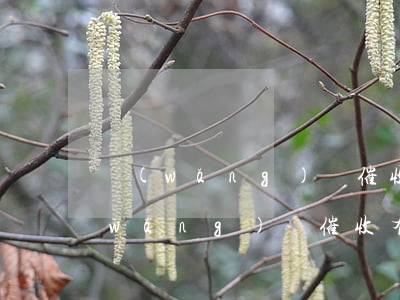 網(wǎng)貸催收怎么屏蔽通訊錄(網(wǎng)貸催收有權(quán)利撥打通訊錄嗎)