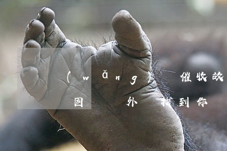 網(wǎng)貸催收故意給我點外賣(催收會因為點外賣找到你嗎)