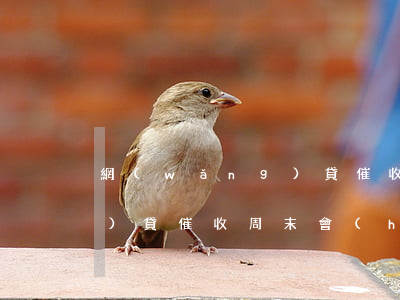 網(wǎng)貸催收星期六(網(wǎng)貸催收周末會(huì)不會(huì)打電話)