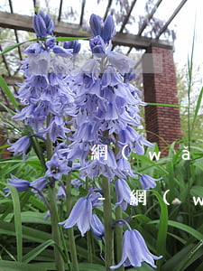 網(wǎng)貸催收最怕不接電話什么辦-網(wǎng)貸催收最怕不接電話什么辦法