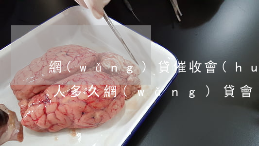 網(wǎng)貸催收會(huì)騷擾家人多久(網(wǎng)貸會(huì)不會(huì)上門(mén)催收)