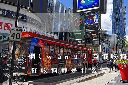 網(wǎng)貸催收狗，網(wǎng)貸催收狗都是什么人