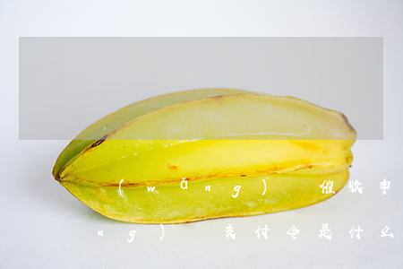 網(wǎng)貸催收申請支付令(網(wǎng)貸支付令是什么意思)