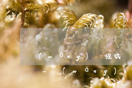 網(wǎng)貸催收發(fā)短信通訊錄-網(wǎng)貸逾期給通訊錄發(fā)短信