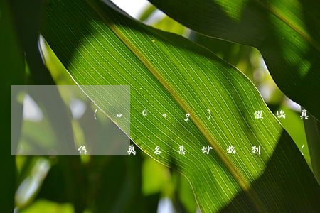 網(wǎng)貸催收真的會發(fā)短信嗎(莫名其妙收到網(wǎng)貸催款短信)