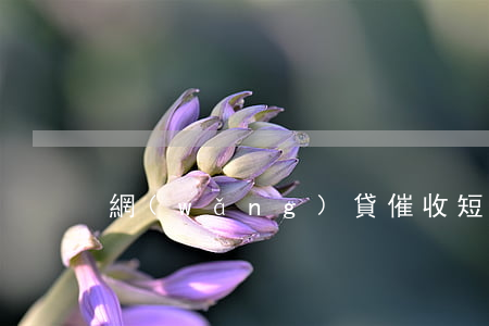 網(wǎng)貸催收短信全款清收