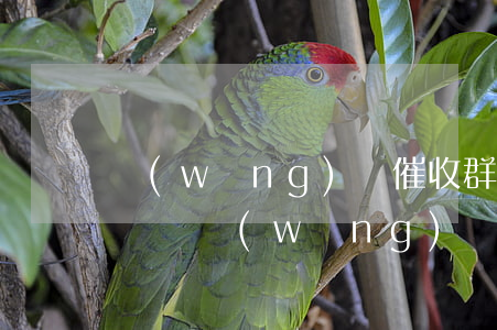 網(wǎng)貸催收群發(fā)沒有通訊錄(網(wǎng)貸沒有催收電話和信息了)