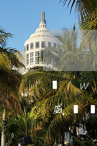 網(wǎng)貸催收老是發(fā)信息威脅(網(wǎng)貸催收老是發(fā)信息威脅)