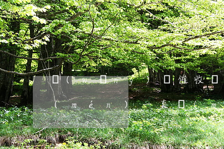 網(wǎng)貸催收說(shuō)上門(mén)一直沒(méi)來(lái)(網(wǎng)貸沒(méi)還會(huì)不會(huì)上門(mén)催收)