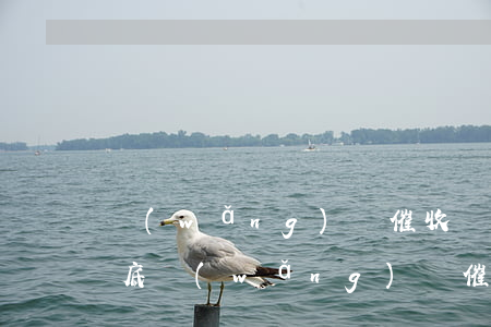 網(wǎng)貸催收說結(jié)清到底 網(wǎng)貸催收的說結(jié)案處理