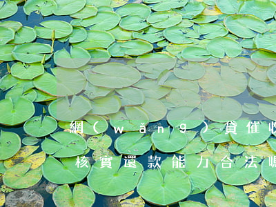 網(wǎng)貸催收說要核實信用-催收核實還款能力合法嗎
