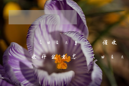 網(wǎng)貸催收讓上門(mén)清收什么意思（網(wǎng)貸催收讓上門(mén)清收）