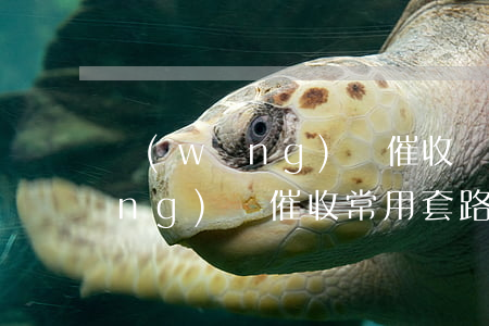 網(wǎng)貸催收軟件怎么用(網(wǎng)貸催收常用套路)