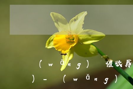 網(wǎng)貸催收辱罵.舉報(bào)-網(wǎng)貸催收辱罵.舉報(bào)有用嗎