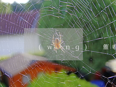 網(wǎng)貸催收通知家人合法嗎