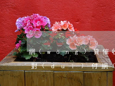 網(wǎng)貸催收逼死人怎么處理(如何對(duì)付網(wǎng)貸催收人員)