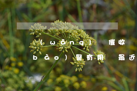 網(wǎng)貸催收過(guò)份報(bào)警有用嗎(最近網(wǎng)貸催收又猖狂了)