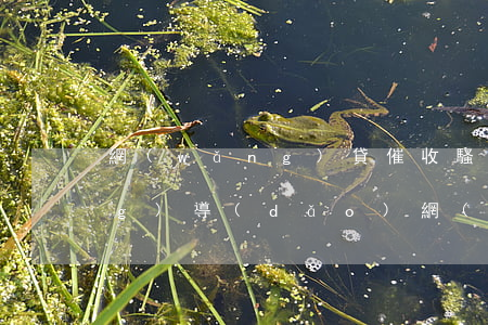 網(wǎng)貸催收騷擾公司領(lǐng)導(dǎo) 網(wǎng)貸催收騷擾公司領(lǐng)導(dǎo)被開除合理嗎違法嗎