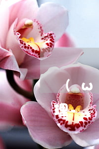 網(wǎng)貸催還款文件寄來該怎么處理-網(wǎng)貸催還款文件寄來該怎么處理呢