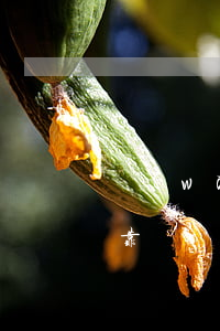 網(wǎng)貸債務(wù)逾期委托可靠嗎(網(wǎng)貸逾期是不是都借不了)