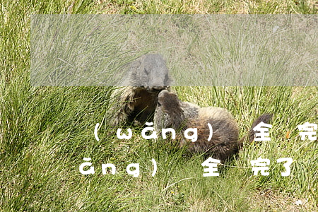 網(wǎng)貸全還完了沒有逾期(網(wǎng)貸全還完了沒有逾期)