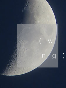網(wǎng)貸全部逾期了想上岸(網(wǎng)貸逾期如何上岸)