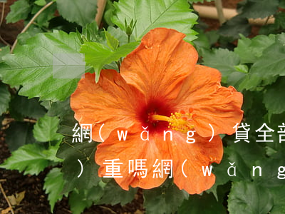 網(wǎng)貸全部逾期后果嚴(yán)重嗎(網(wǎng)貸逾期最嚴(yán)重的后果)