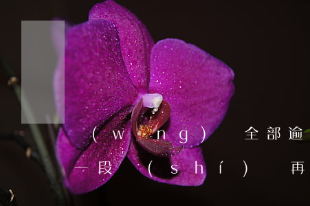 網(wǎng)貸全部逾期扛過(guò)一段時(shí)間再說(shuō)吧-網(wǎng)貸全部逾期扛過(guò)一段時(shí)間再說(shuō)吧是真的嗎