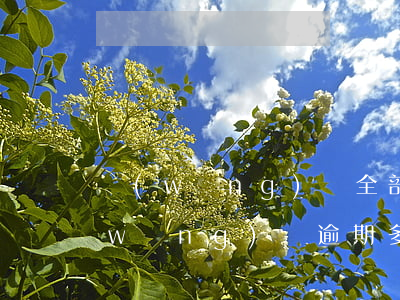 網(wǎng)貸全部逾期等著起訴吧(網(wǎng)貸逾期多長(zhǎng)時(shí)間會(huì)被起訴)