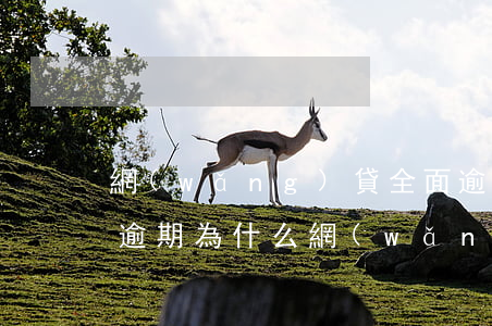 網(wǎng)貸全面逾期也借不到(從來沒逾期為什么網(wǎng)貸過不了)
