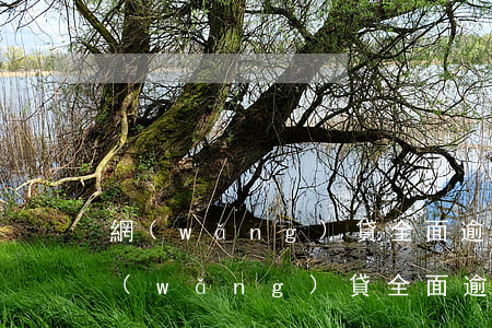 網(wǎng)貸全面逾期信用卡怎么辦（網(wǎng)貸全面逾期信用卡怎么辦）