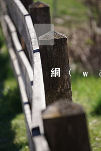 網(wǎng)貸全面逾期后怎么做
