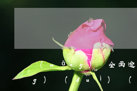 網(wǎng)貸全面逾期如何應(yīng)對(duì)(網(wǎng)貸面臨全面逾期,我該怎么辦啊)