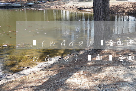 網(wǎng)貸全面逾期怎么找工作(網(wǎng)貸面臨全面逾期,我該怎么辦啊)
