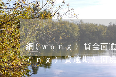網(wǎng)貸全面逾期怎么還款(網(wǎng)貸逾期如何處理比較好)
