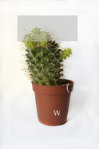 網(wǎng)貸全面逾期沒暴力催收(網(wǎng)貸逾期真的會上門催收嗎)