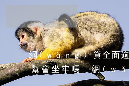 網(wǎng)貸全面逾期無力償還家人不幫會坐牢嗎-網(wǎng)貸全面逾期無力償還家人不幫會坐牢嗎