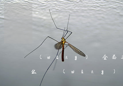 網(wǎng)貸全面逾期爆發(fā)怎么辦(網(wǎng)貸逾期最壞結(jié)果)