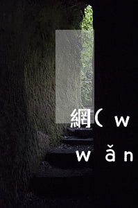 網(wǎng)貸全面逾期要怎么面對(網(wǎng)貸逾期如何正確解決)