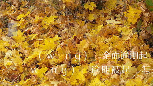 網(wǎng)貸全面逾期起訴怎么辦(網(wǎng)貸逾期被起訴怎么辦?)