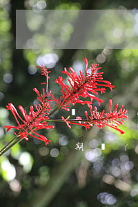 網(wǎng)貸兩個(gè)100元逾期(網(wǎng)貸二千元逾期后果)