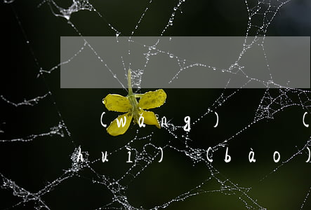 網(wǎng)貸兩個(gè)月不還會(huì)報(bào)警嗎(網(wǎng)貸2萬不還會(huì)有什么后果)