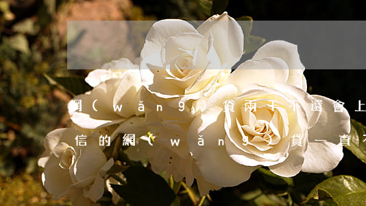 網(wǎng)貸兩千不還會上征信嗎(上征信的網(wǎng)貸一直不還會怎么樣)