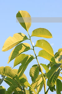 網(wǎng)貸兩千塊逾期未還會(huì)被起訴嗎-網(wǎng)貸逾期2年會(huì)被起訴嗎?