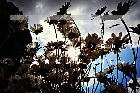 網(wǎng)貸兩千多逾期三個(gè)月會被起訴嗎(網(wǎng)貸三千逾期一年會被起訴嗎)