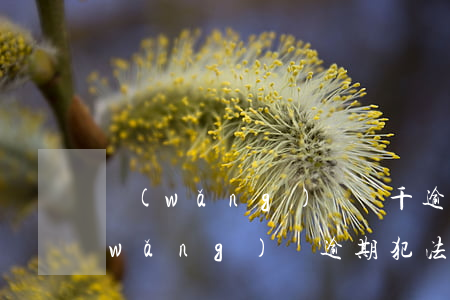 網(wǎng)貸兩千逾期構成犯罪嗎(網(wǎng)貸逾期犯法嗎)